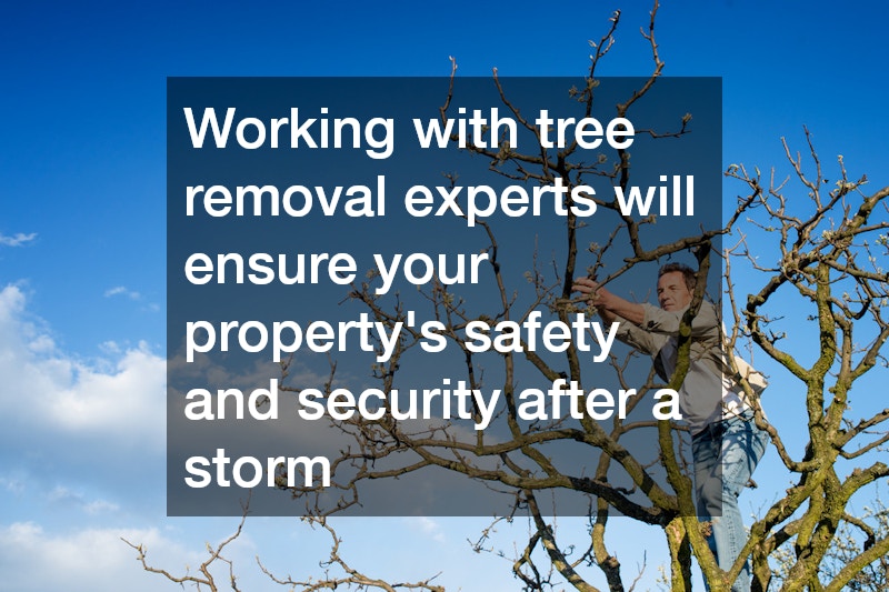 arborist pruning tree branches